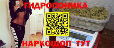 2c-b Партизанск