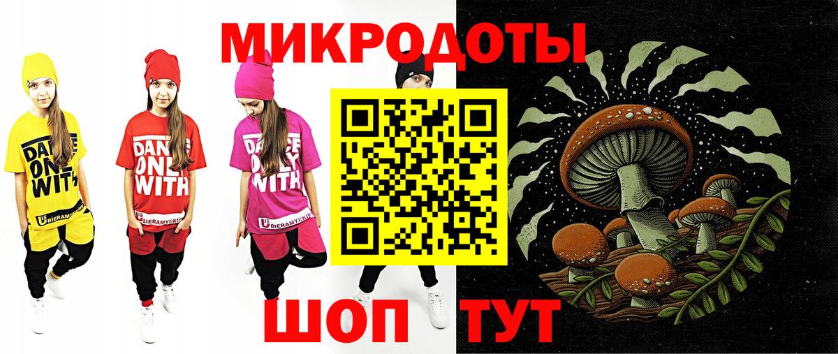 Псилоцибиновые грибы Psilocybe Серпухов